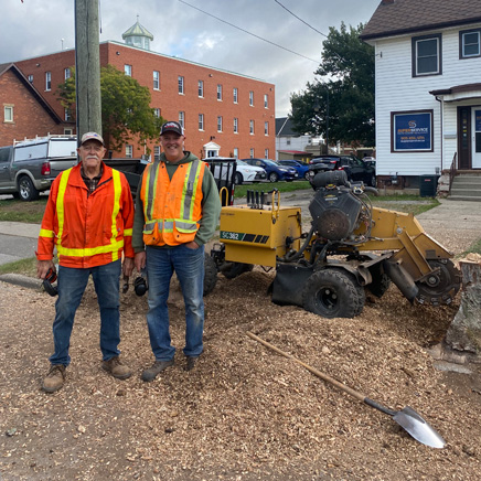 Stump Removal Niagara